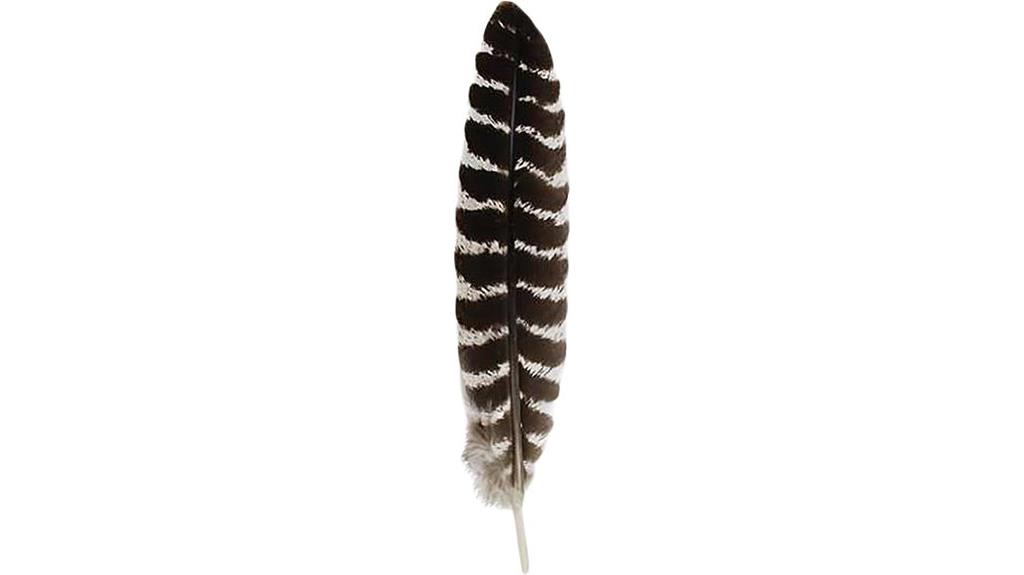clean grade a turkey feather