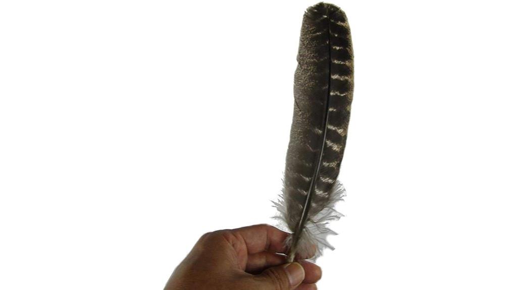 decorative healing turkey feathers