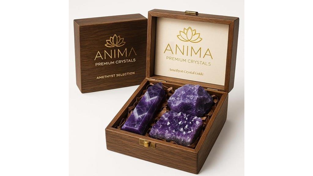 premium amethyst crystal collection