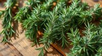 rosemary bundles for cleansing