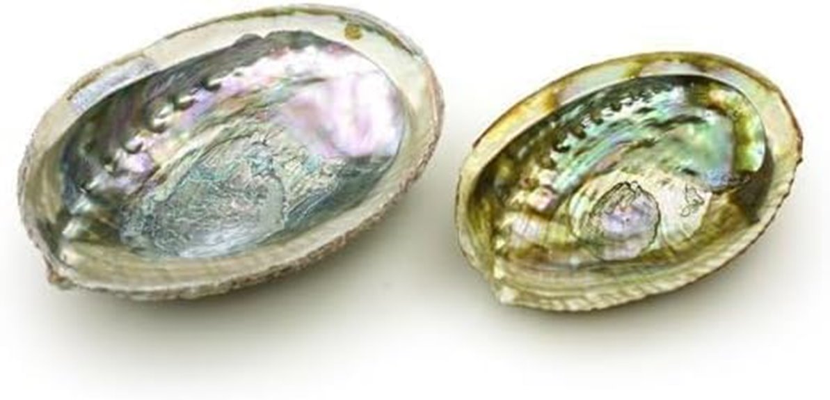 abalone shell incense bowl