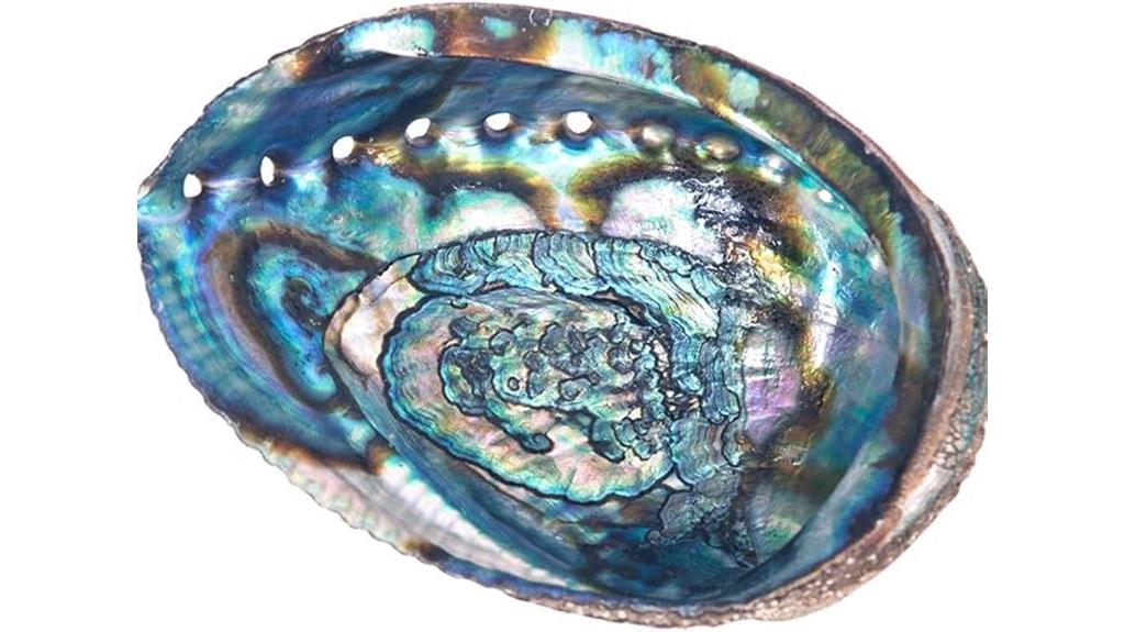 abalone shell incense burner
