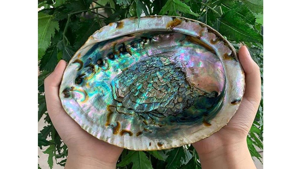 abalone shell incense holder
