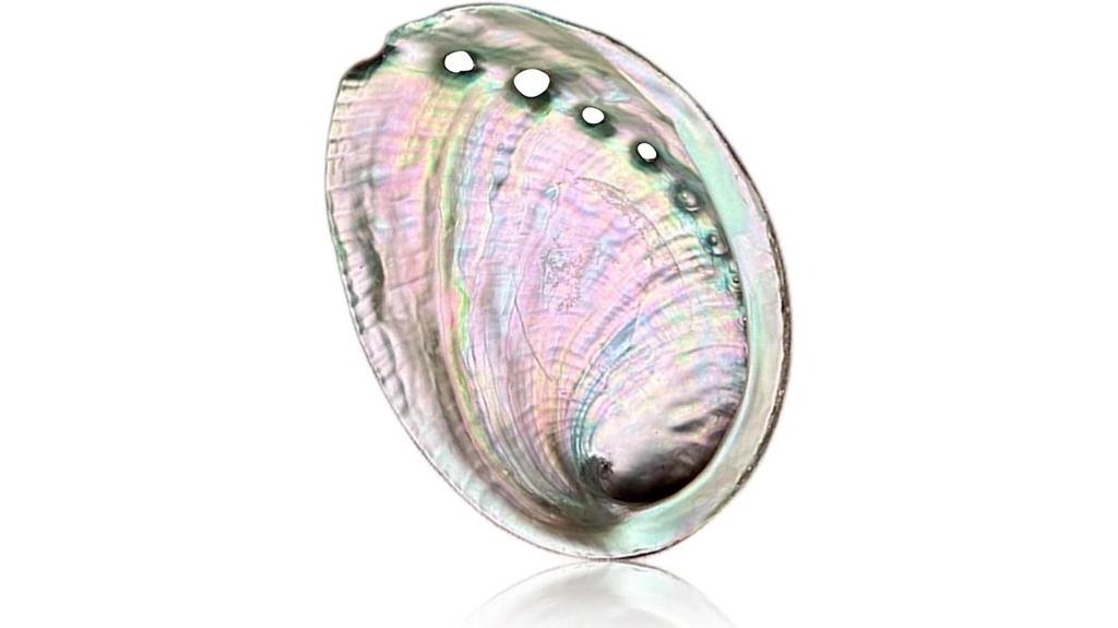 abalone shell smudging bowl