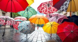 affordable umbrellas for 2025