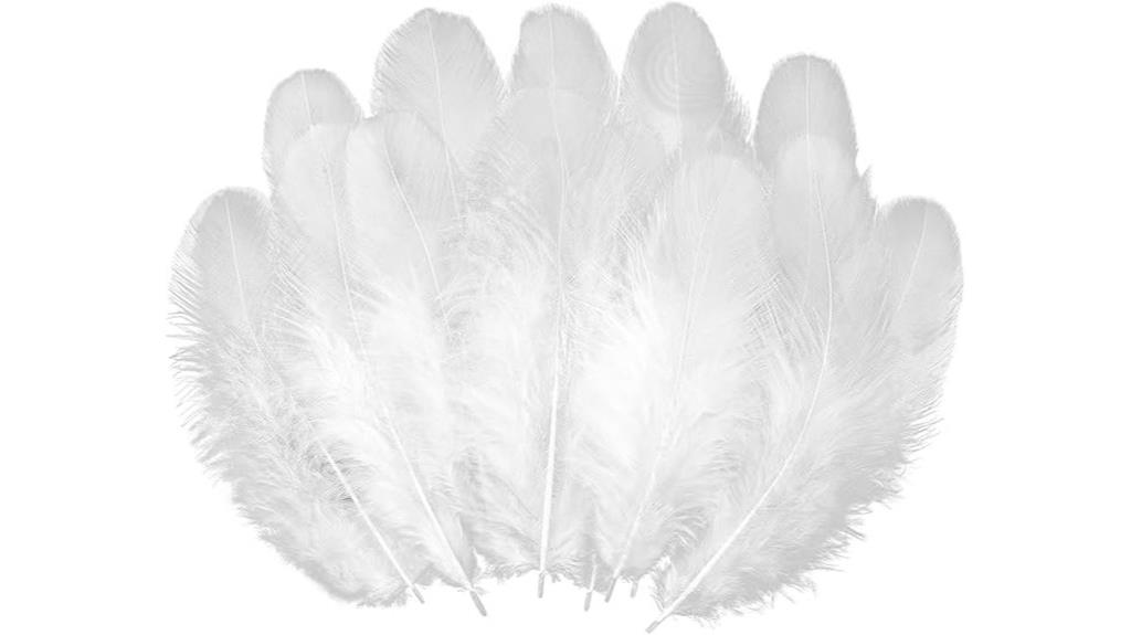colored craft feather pack
