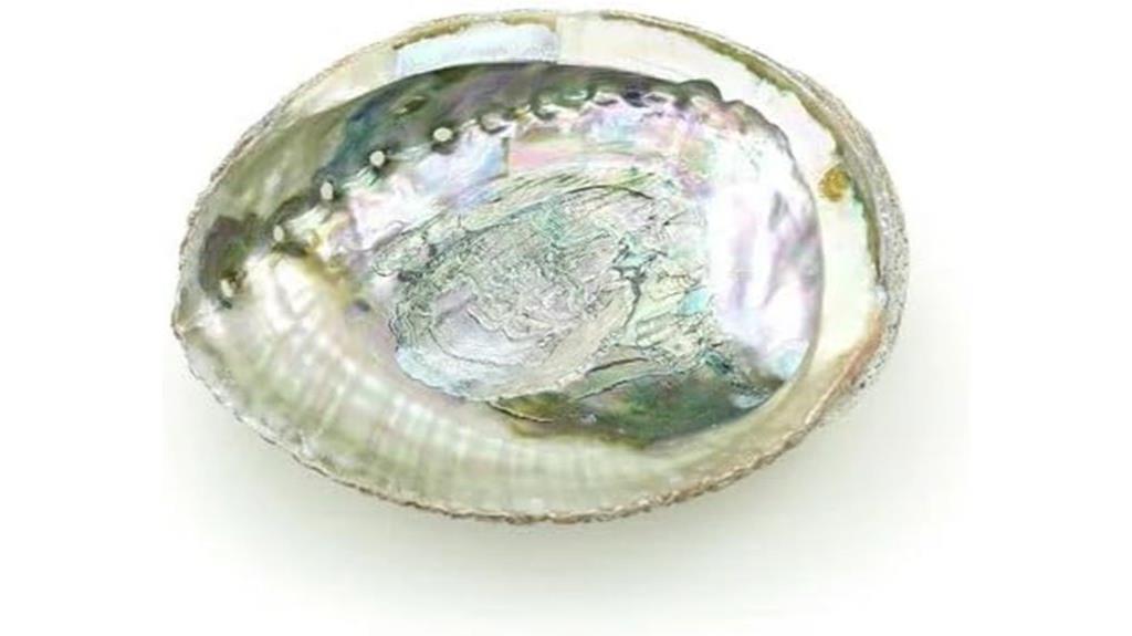 colorful shell incense bowl