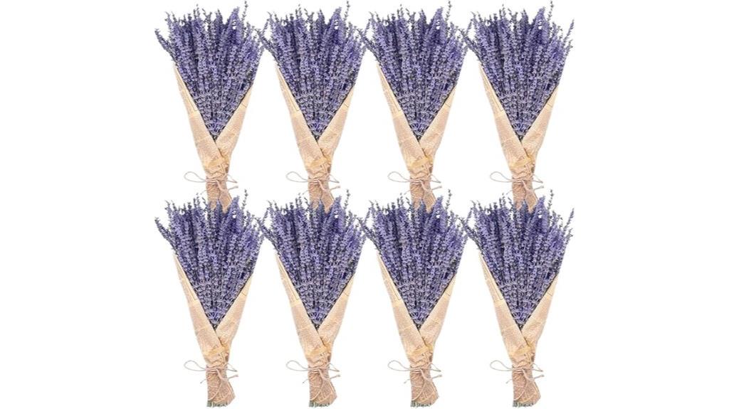 eight lavender flower bundles