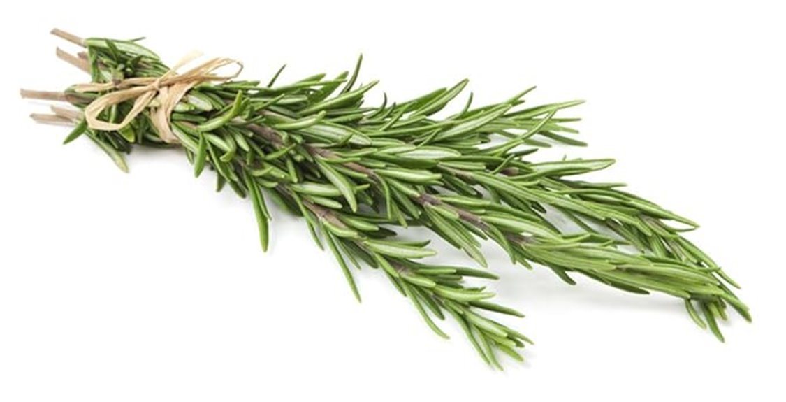 fresh rosemary two bunches