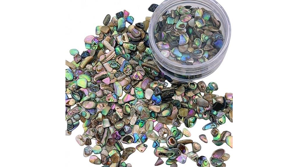 gommo abalone shell supplies