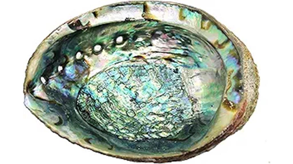 handcrafted abalone shell