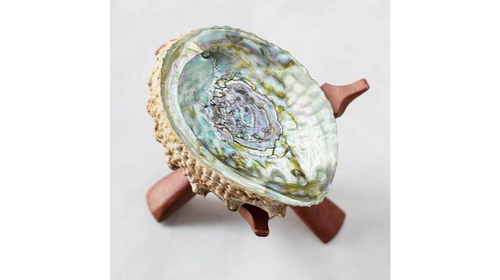 hope and love abalone shell