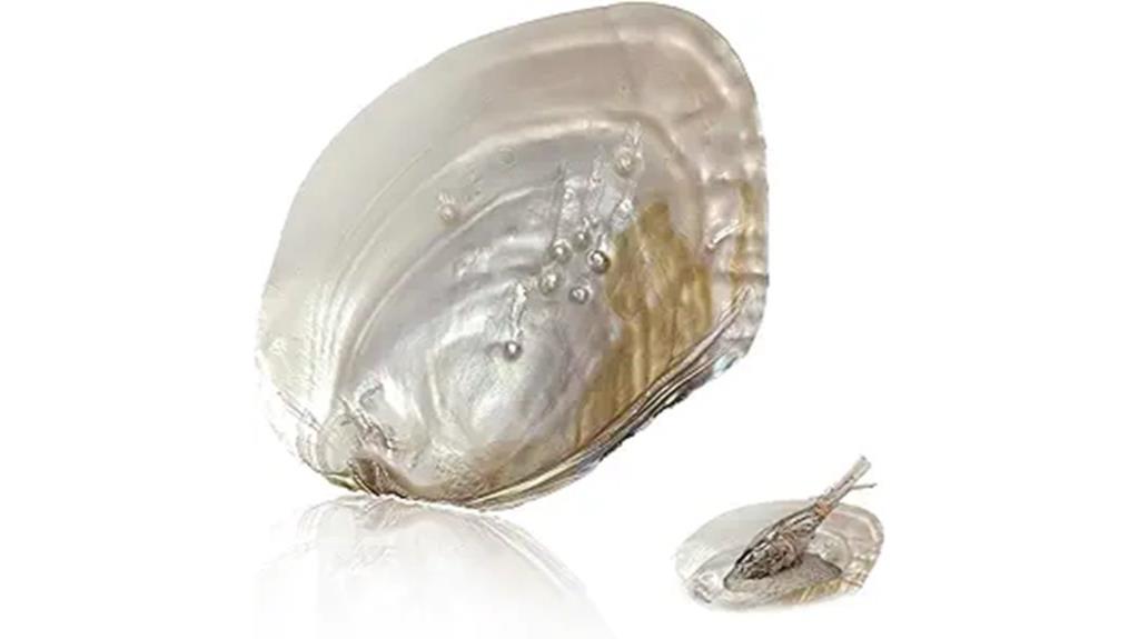 large sage shell for smudging
