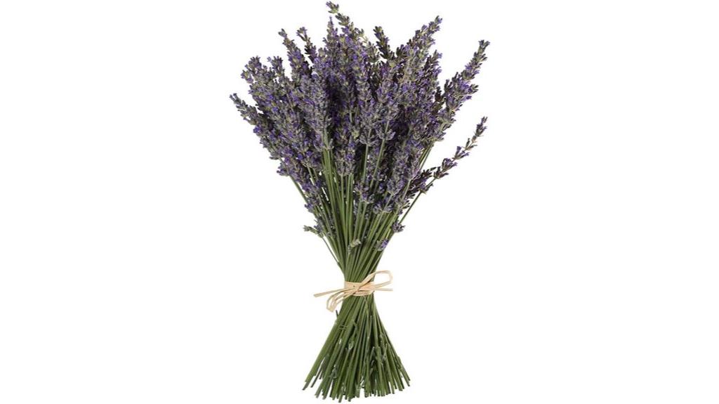 lavender bundles for decor