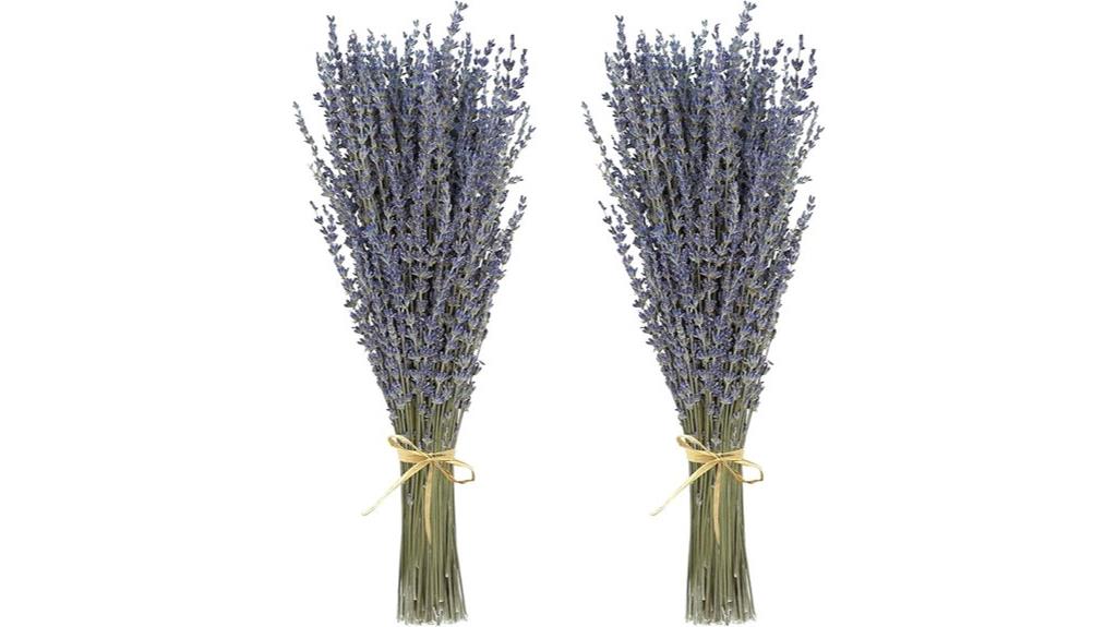 lavender for decor fragrance