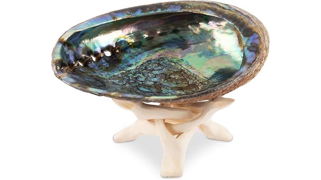 natural abalone incense holder