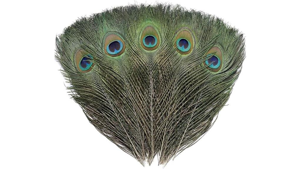 natural peacock feather set