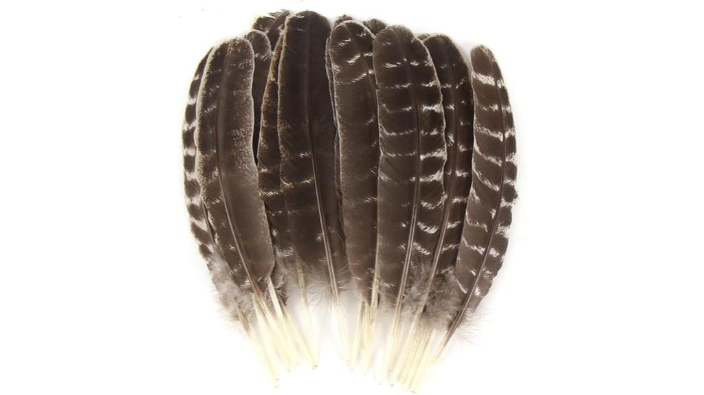 natural turkey feather pack