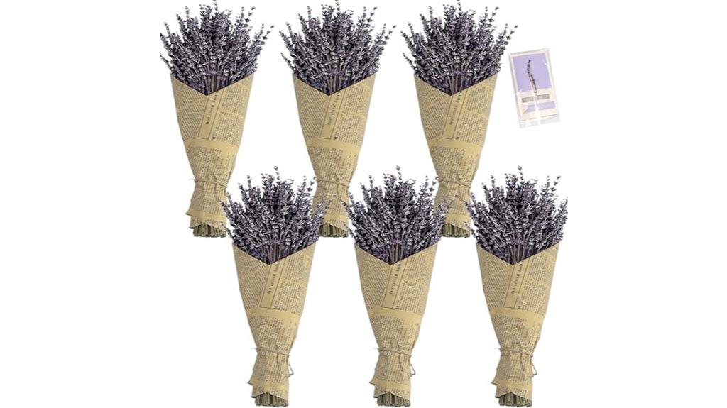 six pack dried lavender bouquets