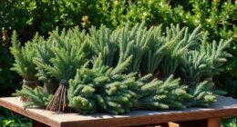 top juniper bundle selections