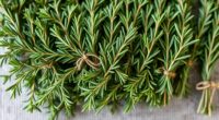 top rosemary bundle selections