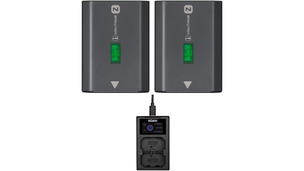 two batteries dual charger