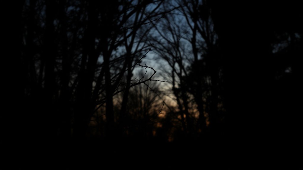 brain detects shapes movement