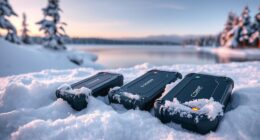 cold weather battery power