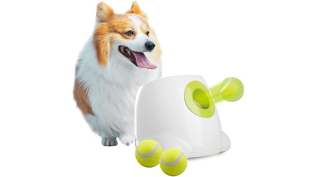 dog ball launcher automation
