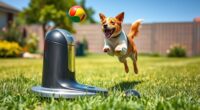 dog toys that automatically launch
