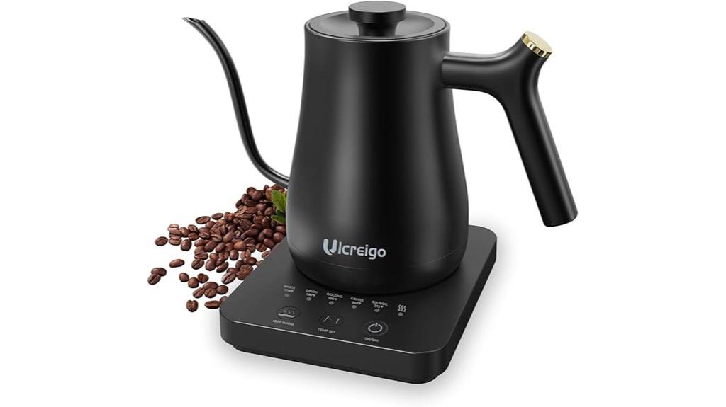 electric kettle with temperature control
