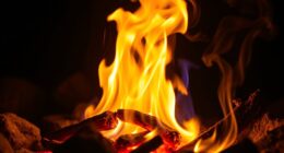 fire as cleansing symbol