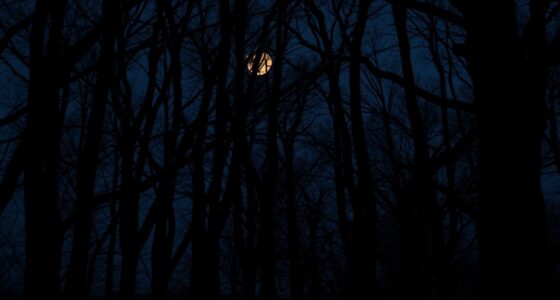 humans detect darkness patterns