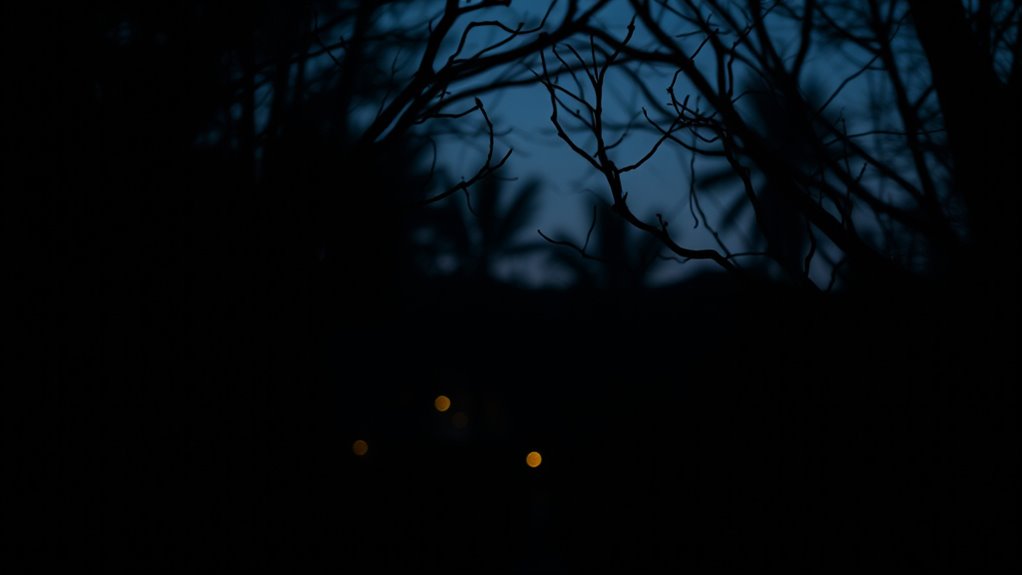 innate pattern seeking influences society