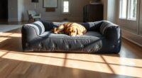 luxury dog beds compilation