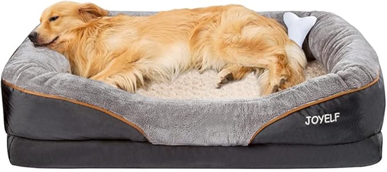 memory foam dog bed