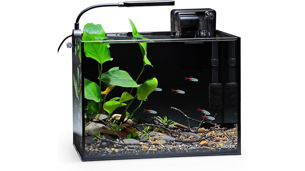 mini aquarium kit included