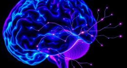 neuroscience of spiritual experiences