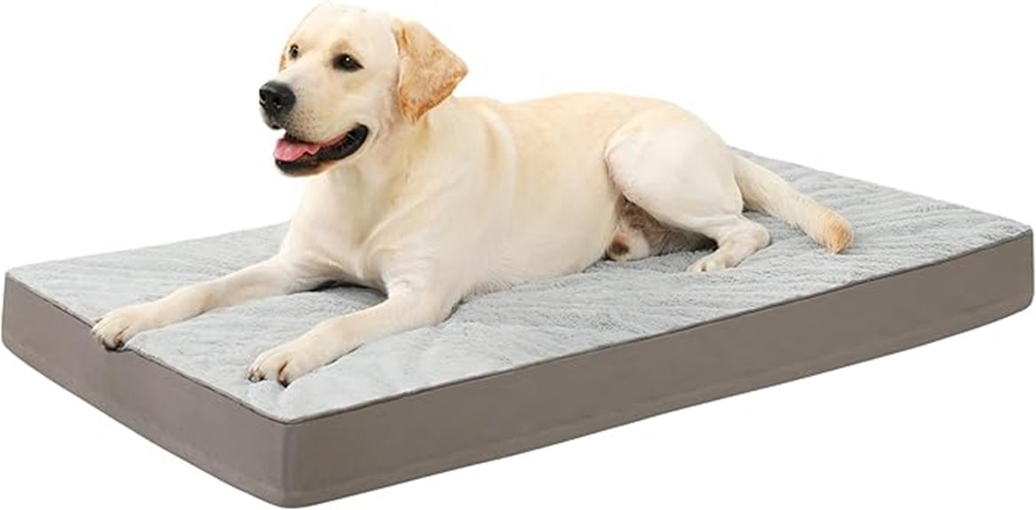 orthopedic dog bed with foam