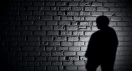 shadow illusion science