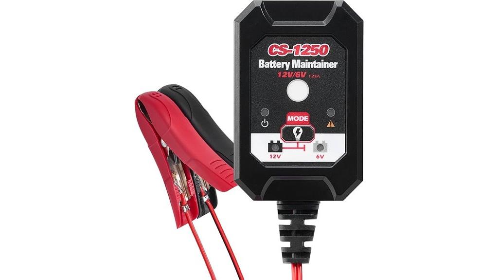 smart 6v 12v battery charger