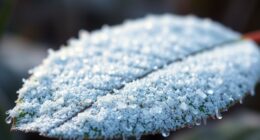 temperature shifts suggest presence