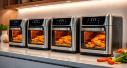 top high end air fryer ovens