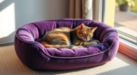 top luxury feline sleep options