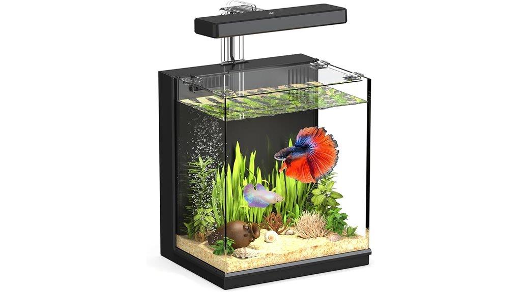 two gallon betta aquarium