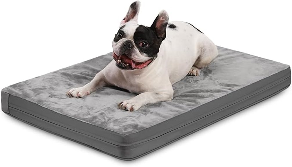 waterproof medium orthopedic bed