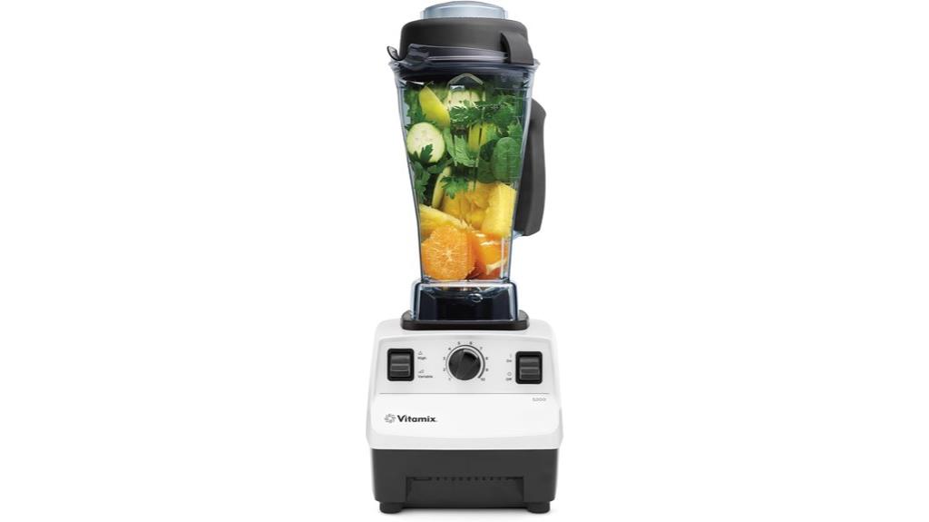powerful vitamix smoothie blender