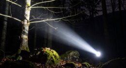 bright durable reliable illumination