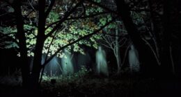 dark location camcorder truth