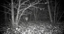 eerie darkness obscures details